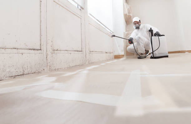 24/7 Emergency Commercial Mold Remediation experts in Laingsburg, MI
