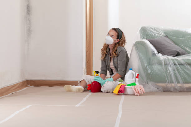 Reliable Commercial Mold Remediation contractor in Laingsburg, MI by WQB Mold Removal